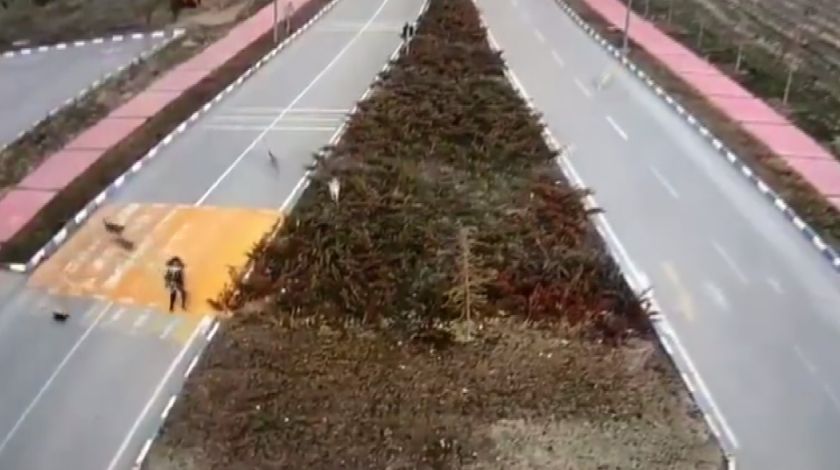 7 köpek kız öğrenciye saldırdı 1