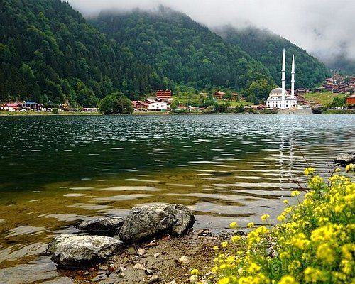 İl il Türkiye nüfusu belli oldu! İşte Türkiye'nin 2022'de en genç ve yaşlı şehirleri 69