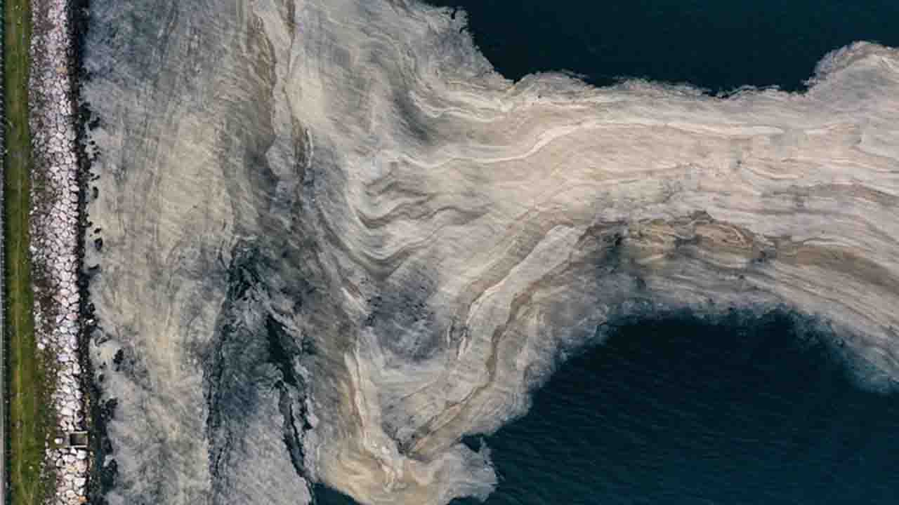 Meclis'ten müsilaja karşı 157 çözüm önerisi 20