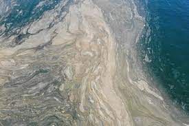 Meclis'ten müsilaja karşı 157 çözüm önerisi 3