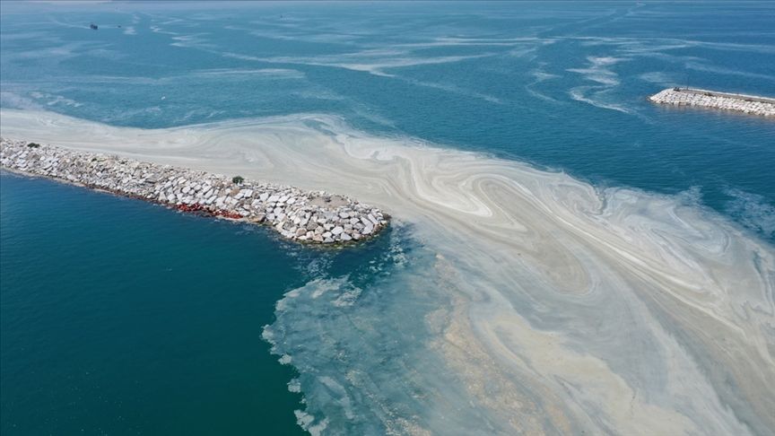 Meclis'ten müsilaja karşı 157 çözüm önerisi 8