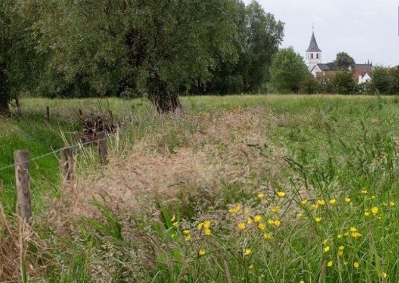 Avrupa'nın en güzel 30 kasabası seçildi! Türkiye'den neresi seçildi? 6