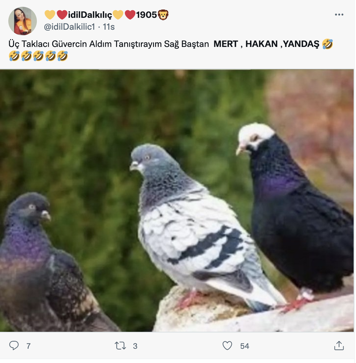 Sosyal medya çok acımasız! Mert Hakan Yandaş’ın taklasıyla ilgili atılan tweetler gülmekten kırıyor 26