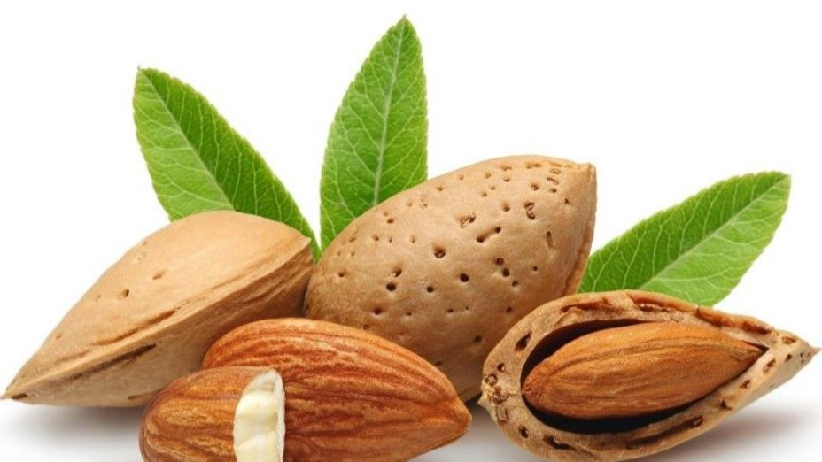 Hem tok tutuyor hem hızla zayıflatıyor! İştahı bıçak gibi kesen besinler... 1