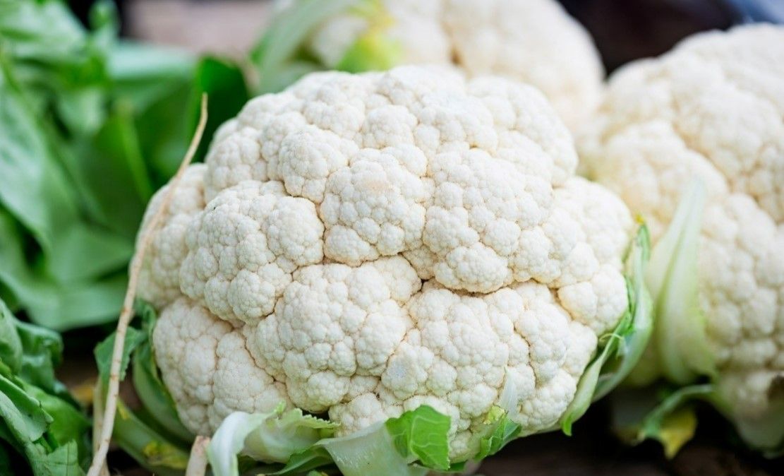 Hem tok tutuyor hem hızla zayıflatıyor! İştahı bıçak gibi kesen besinler... 8