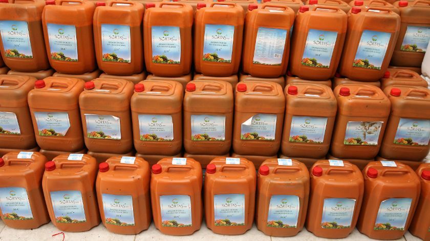 Sivas'ta kuruldu! Komşu apar topar Türkiye'nin kapısını çaldı 8