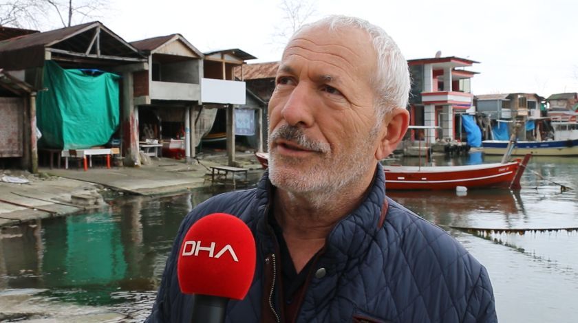 Karadeniz’de kahreden görüntü! 3 ayda 33 tanesi karaya vurdu 7