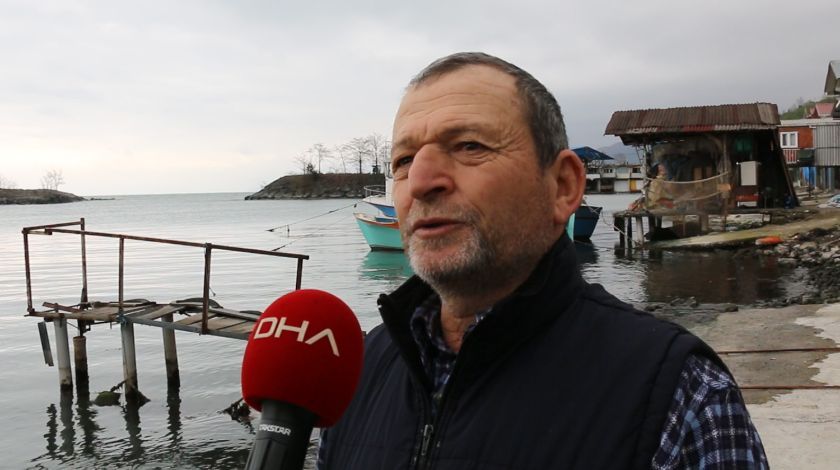 Karadeniz’de kahreden görüntü! 3 ayda 33 tanesi karaya vurdu 8