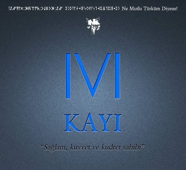 Hangi Türk boyundansın? Eğer bu şehirde doğduysanız... 29