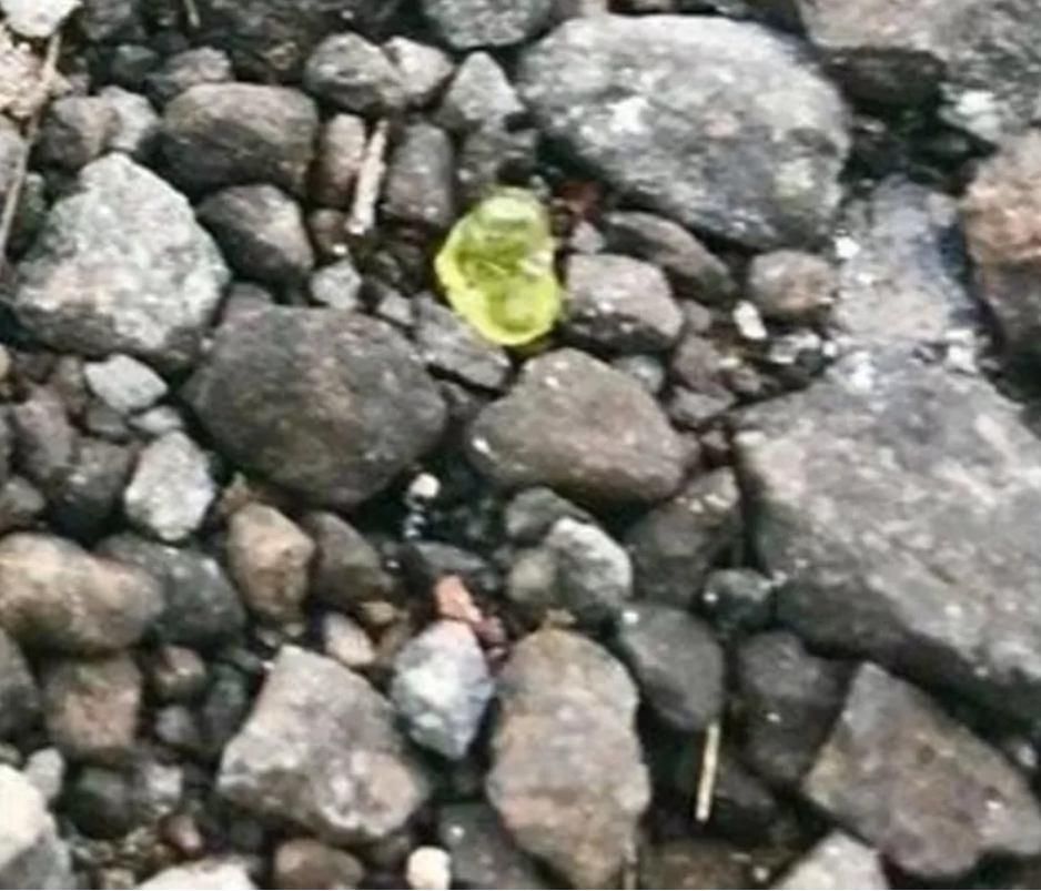 Şans eseri buldu! Bir anda servete kondu 12