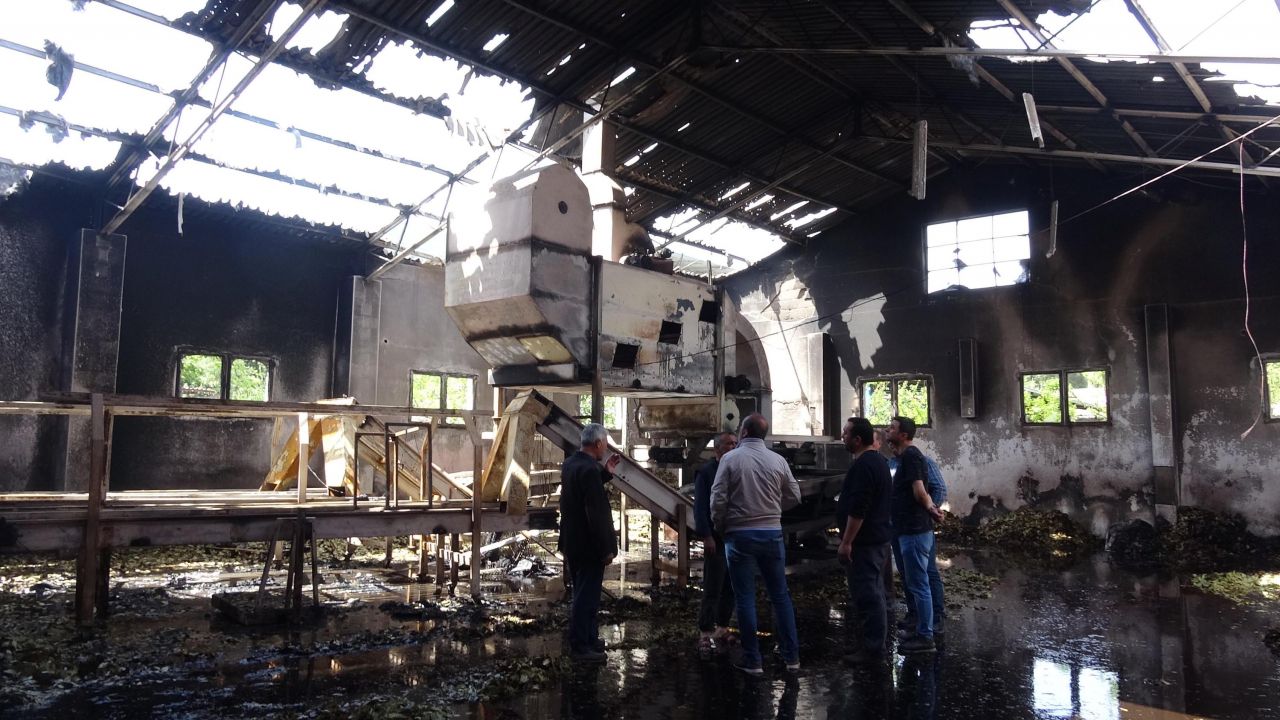 'Kuşum kaçtı' diyerek çatısına çıktığı fabrikayı benzin döküp yaktı! 7
