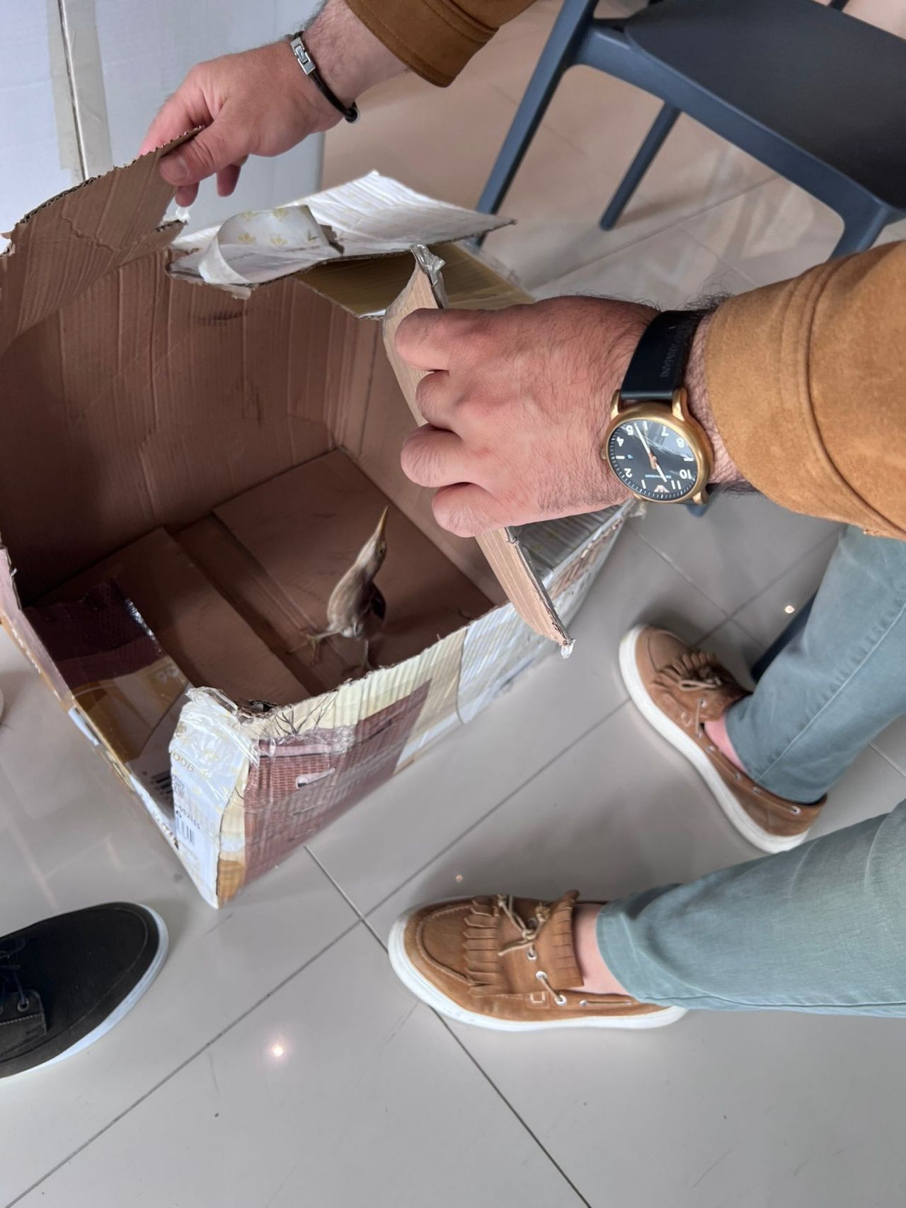 Nesli tükenmek üzere! Silivri'de bulundu 4