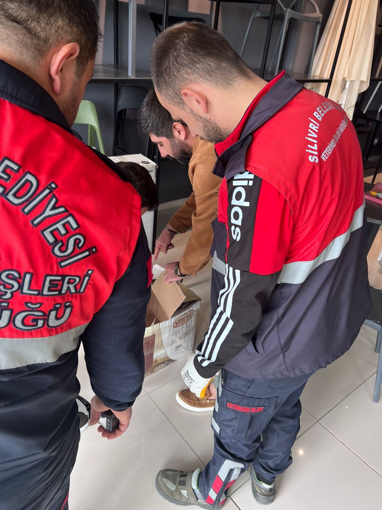 Nesli tükenmek üzere! Silivri'de bulundu 7