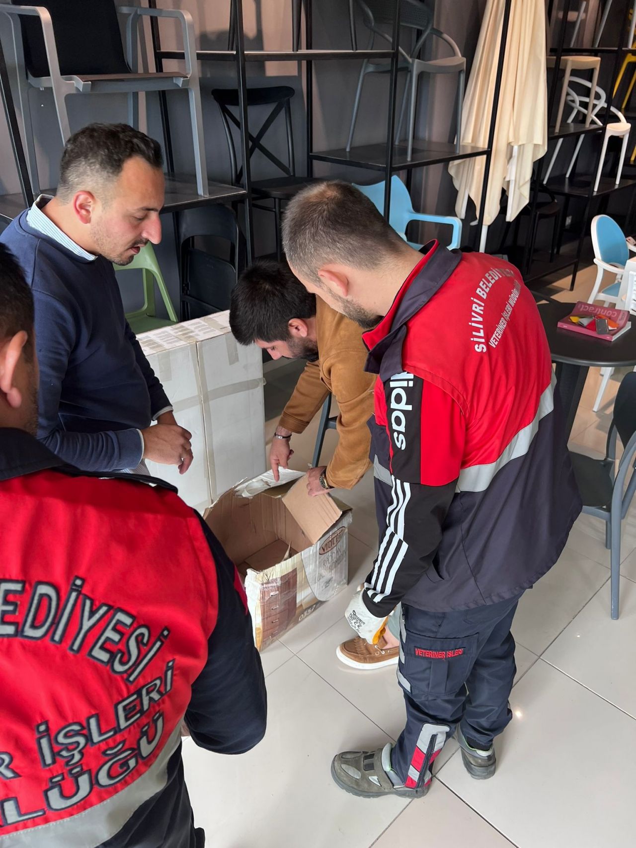 Nesli tükenmek üzere! Silivri'de bulundu 8