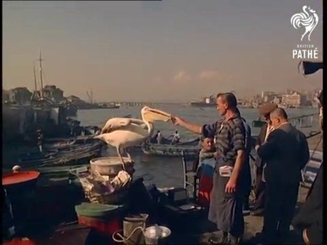 Tarihin tozlu arşivinden İstanbul! 1967 yılında çekilen görüntüler şaşırttı 55