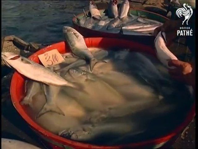 Tarihin tozlu arşivinden İstanbul! 1967 yılında çekilen görüntüler şaşırttı 61