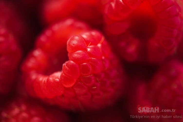 En şifalı besin seçildi! Kanser hücrelerini öldüren mucize besin... 16