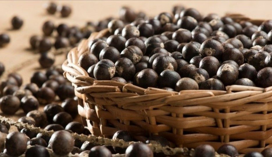 En şifalı besin seçildi! Kanser hücrelerini öldüren mucize besin... 3