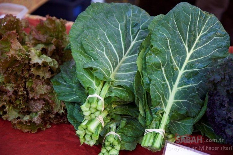 En şifalı besin seçildi! Kanser hücrelerini öldüren mucize besin... 35