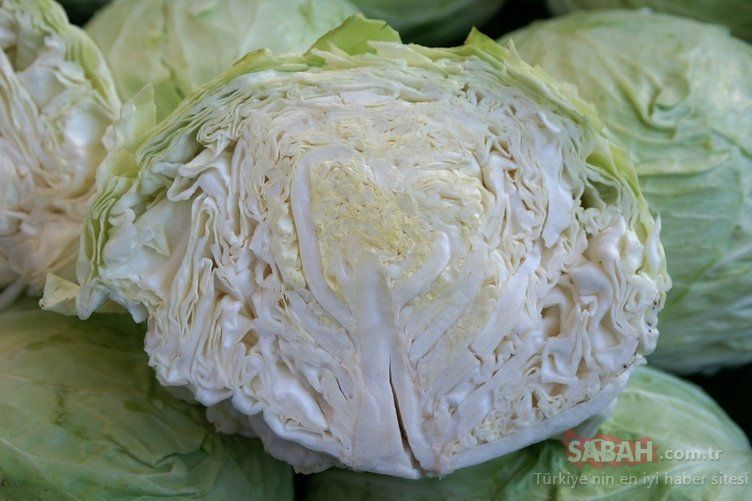 En şifalı besin seçildi! Kanser hücrelerini öldüren mucize besin... 39