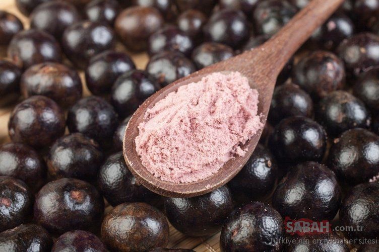 En şifalı besin seçildi! Kanser hücrelerini öldüren mucize besin... 4