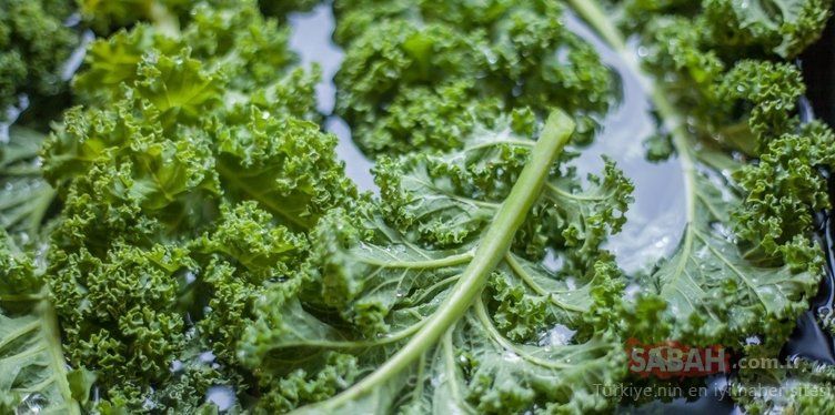 En şifalı besin seçildi! Kanser hücrelerini öldüren mucize besin... 48