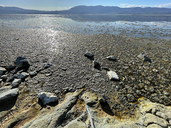 Burdur Gölü'nde endişelendiren görüntü 1