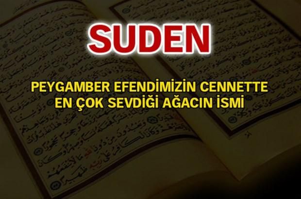 İşte, Türkiye'de en çok kullanılan isimler ve anlamları... 110