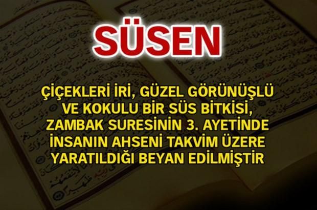 İşte, Türkiye'de en çok kullanılan isimler ve anlamları... 111