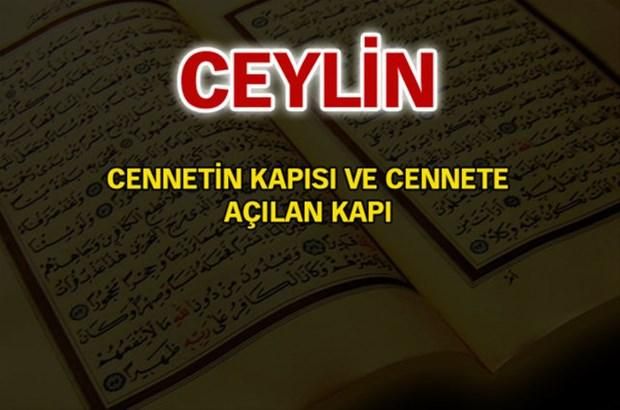 İşte, Türkiye'de en çok kullanılan isimler ve anlamları... 22