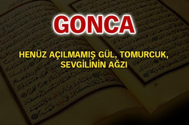 İşte, Türkiye'de en çok kullanılan isimler ve anlamları... 53