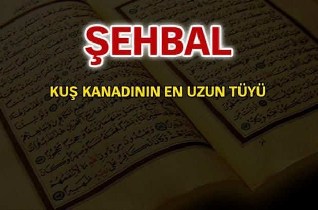 İşte, Türkiye'de en çok kullanılan isimler ve anlamları... 94