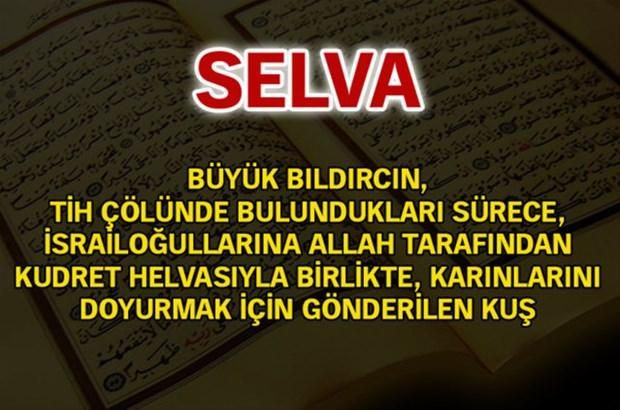 İşte, Türkiye'de en çok kullanılan isimler ve anlamları... 97