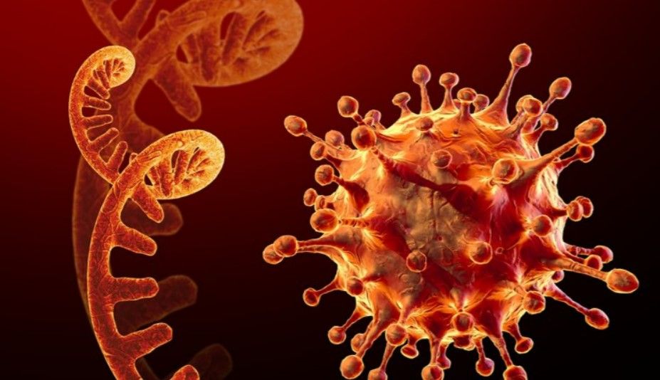 Uzmanlar açıkladı! İşte B12 vitamin eksikliğinin ilk belirtisi 3