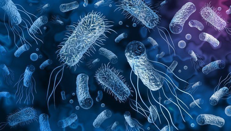 Bir kez daha salmonella alarmı! O ürünlerin satışı durduruldu: Sakın yemeyin! 10