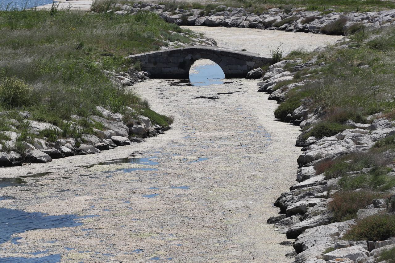 Endişelendiren görüntü! Büyükçekmece Gölü için uyarı 7