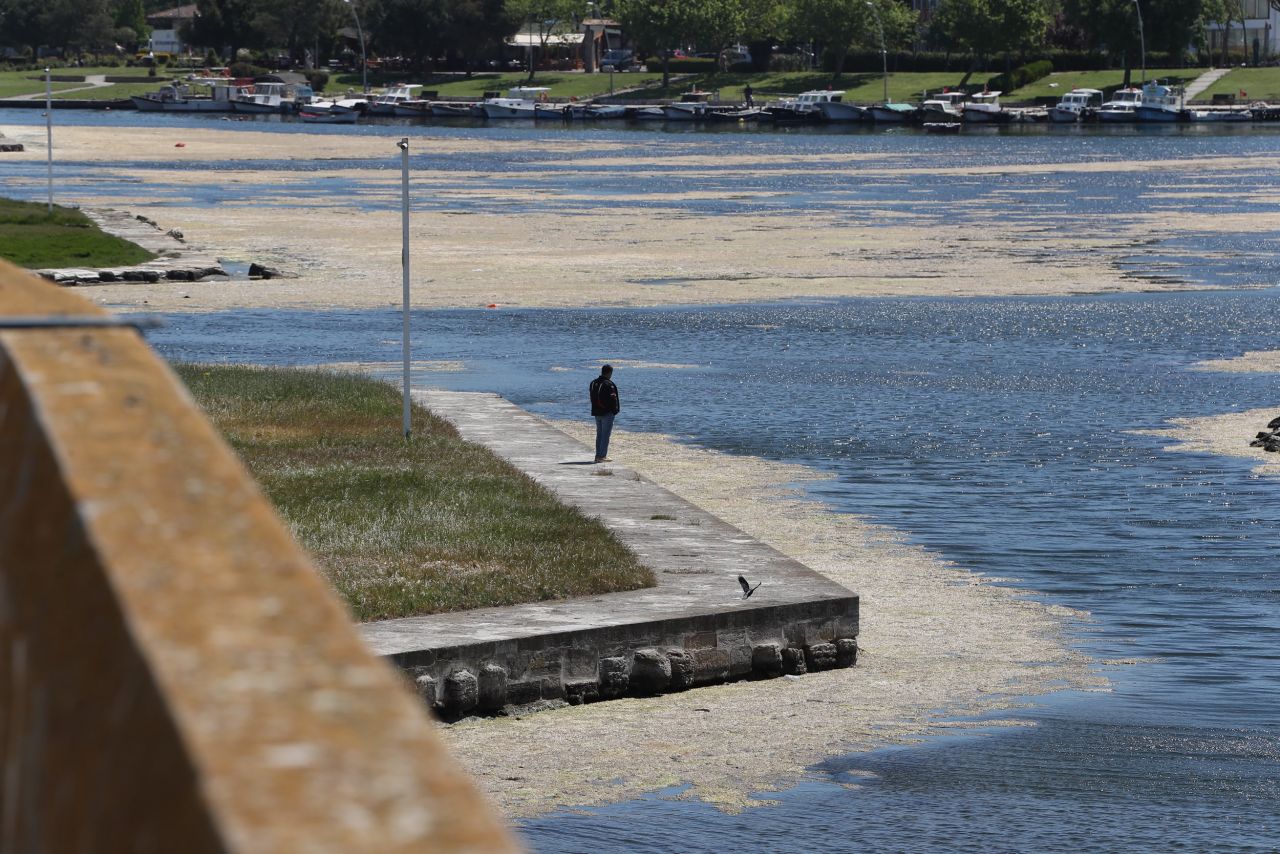 Endişelendiren görüntü! Büyükçekmece Gölü için uyarı 8