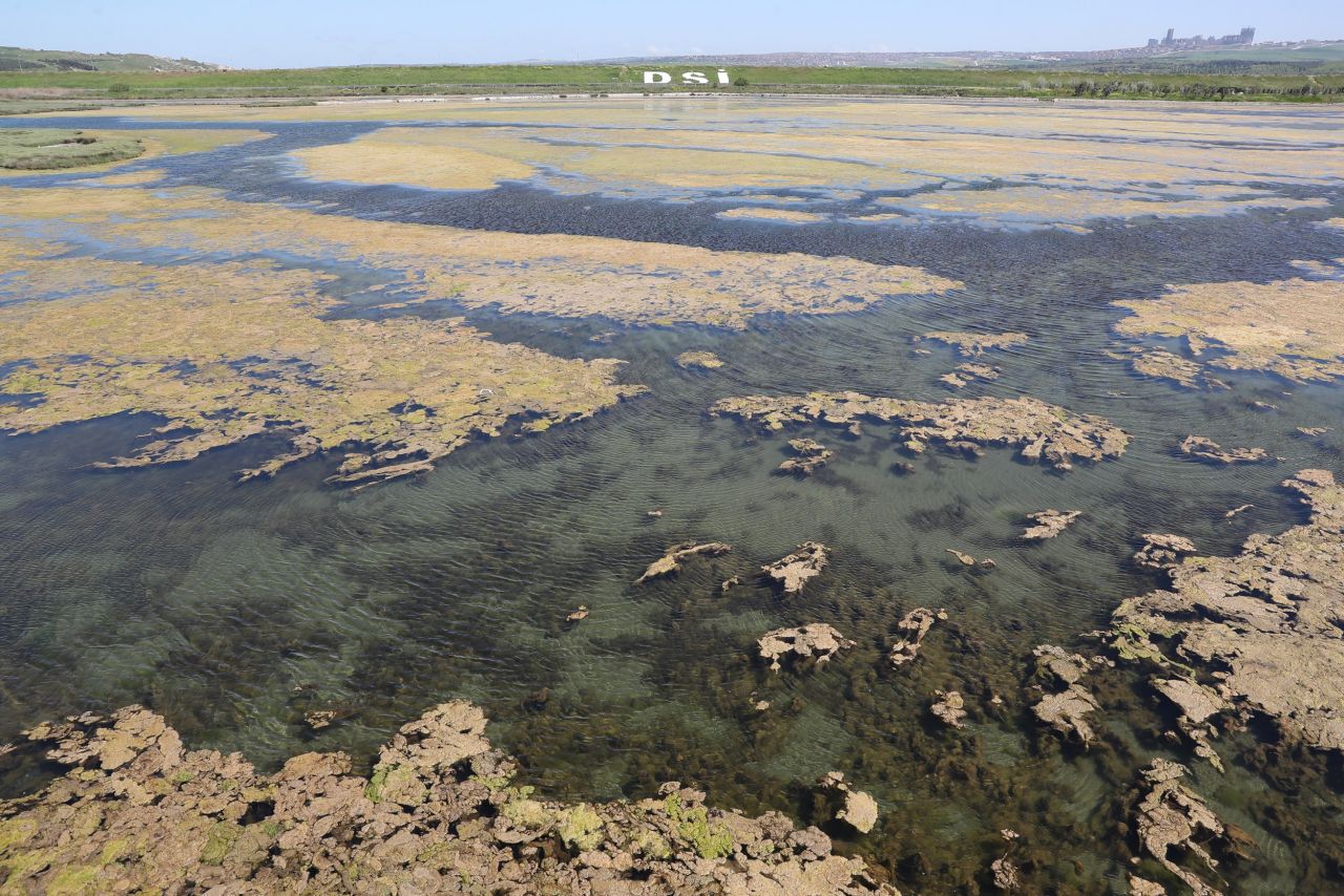 Endişelendiren görüntü! Büyükçekmece Gölü için uyarı 9