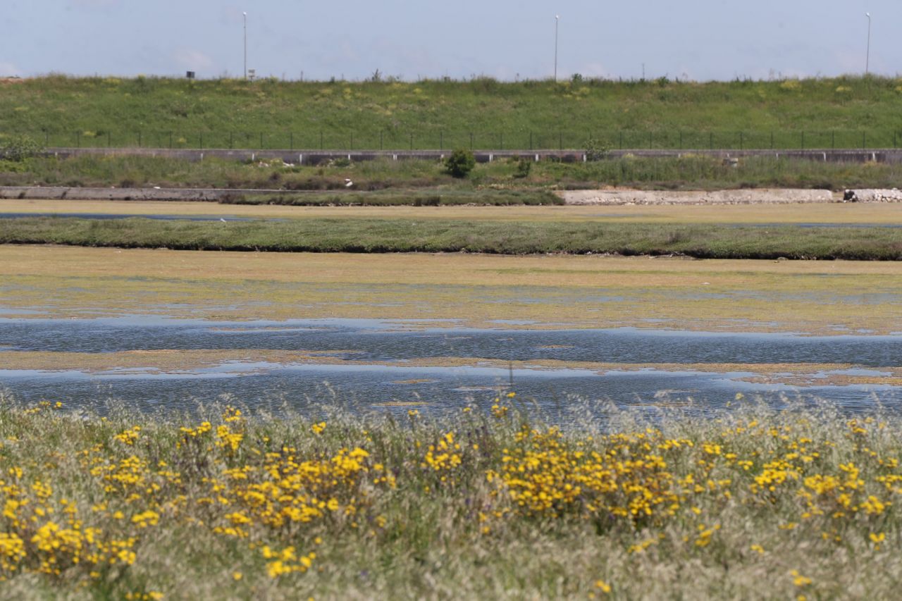 Endişelendiren görüntü! Büyükçekmece Gölü için uyarı 3