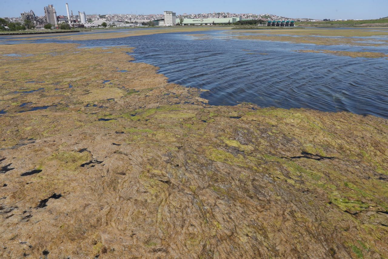 Endişelendiren görüntü! Büyükçekmece Gölü için uyarı 1