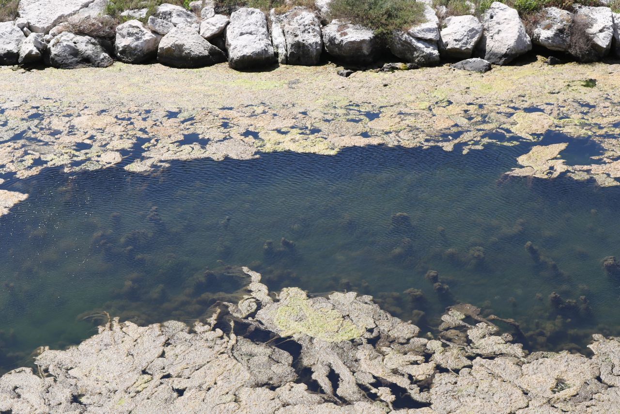 Endişelendiren görüntü! Büyükçekmece Gölü için uyarı 6