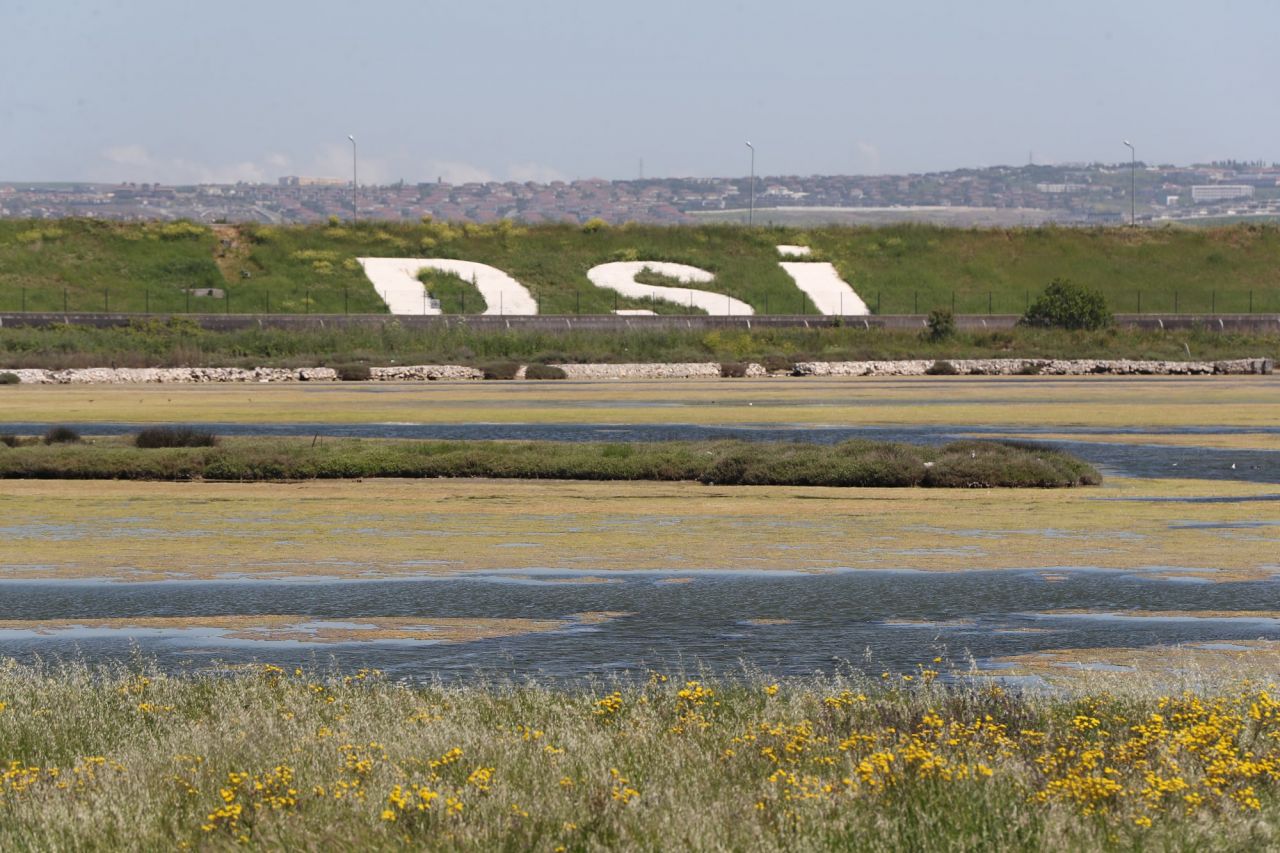 Endişelendiren görüntü! Büyükçekmece Gölü için uyarı 2