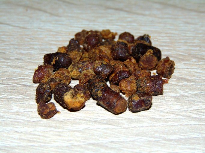 Bu besinin etkisi inanılmaz! Bağışıklığı güçlendiriyor, kanserden koruyor 17