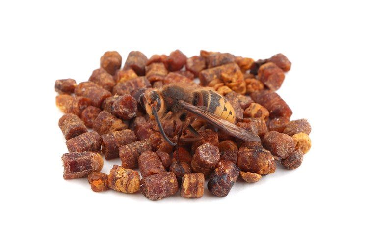 Bu besinin etkisi inanılmaz! Bağışıklığı güçlendiriyor, kanserden koruyor 19