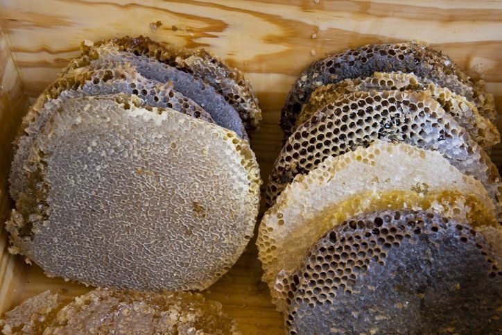 Bu besinin etkisi inanılmaz! Bağışıklığı güçlendiriyor, kanserden koruyor 24