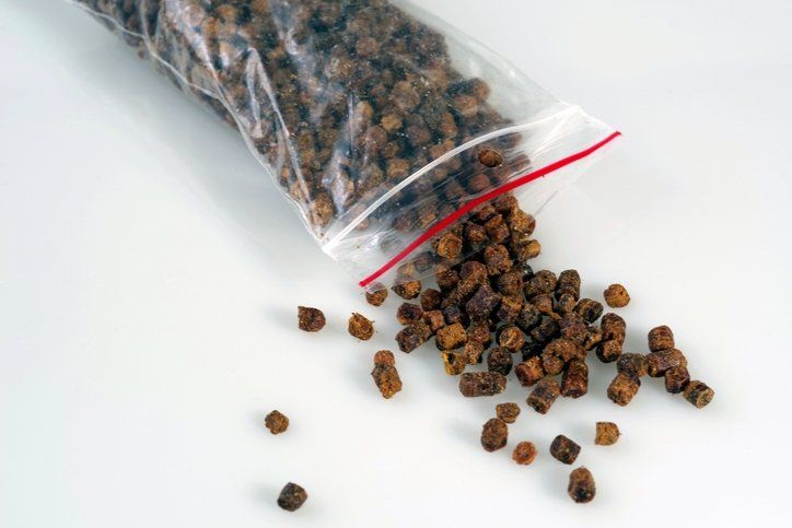 Bu besinin etkisi inanılmaz! Bağışıklığı güçlendiriyor, kanserden koruyor 31