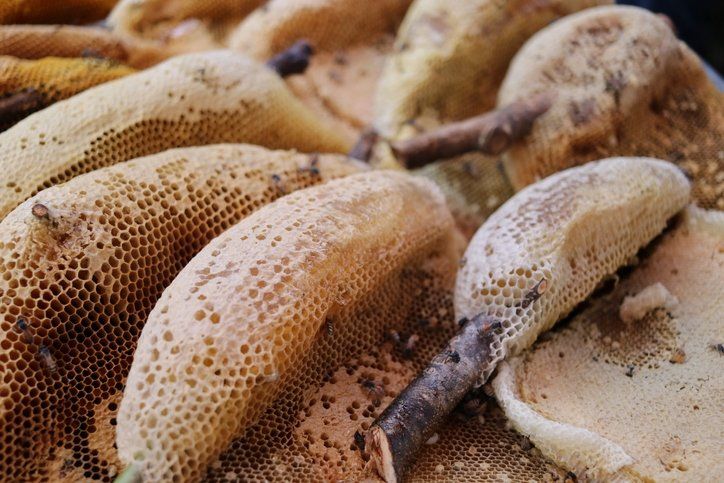 Bu besinin etkisi inanılmaz! Bağışıklığı güçlendiriyor, kanserden koruyor 32