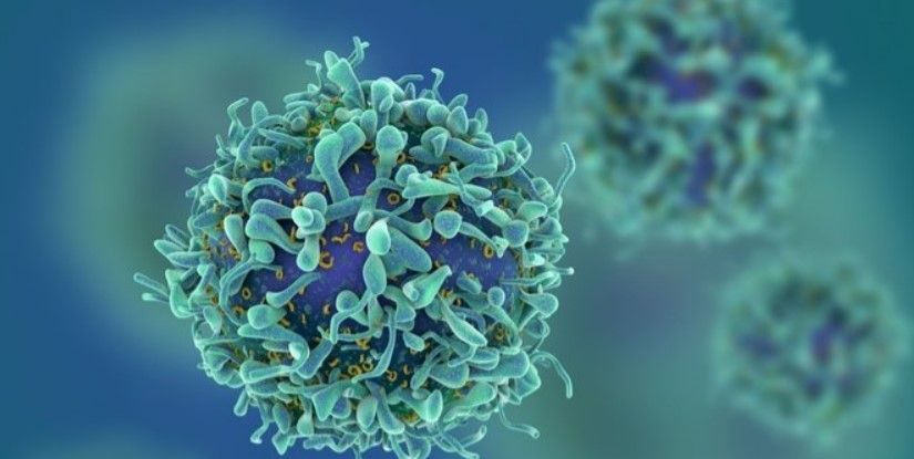 Kanser vücutta oluştuğu an bu belirtiyi veriyor! İşte kanserin ilk belirtisi 1