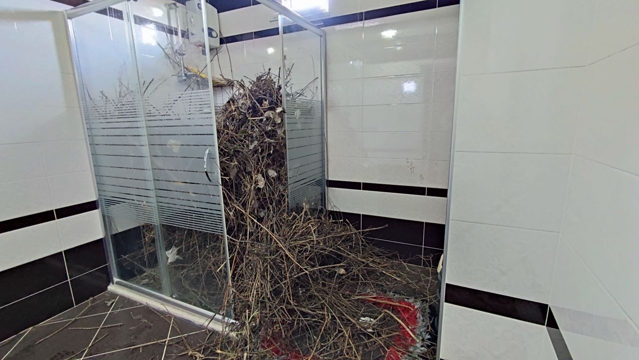 2 yıldır boş olan eve giren kadın şoke oldu! 'Hayatımda böyle bir şey görmedim' 1