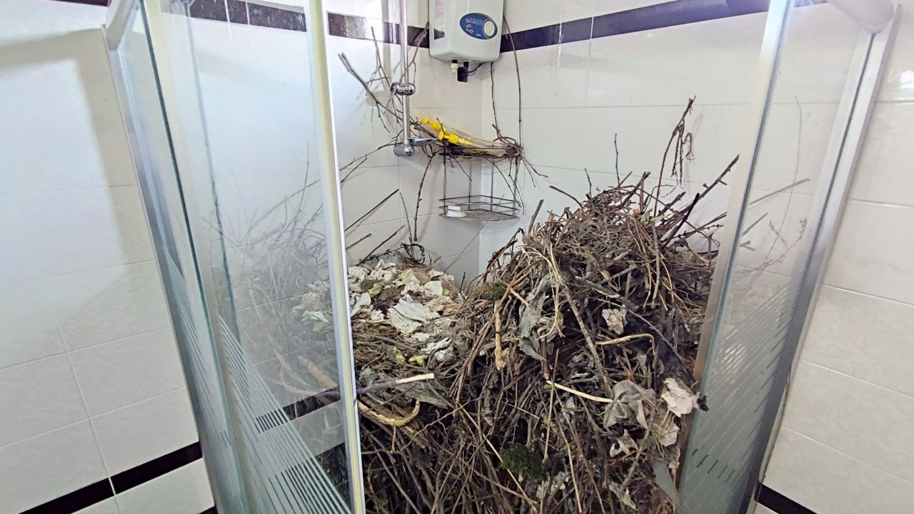 2 yıldır boş olan eve giren kadın şoke oldu! 'Hayatımda böyle bir şey görmedim' 4